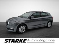 Gebraucht Skoda Fabia Selection 95 PS (69 kW) 2025 Grau Kleinwagen