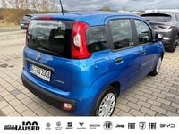 Gebraucht Fiat Panda Icon 69 PS (50 kW) 2025 Blau Limousine