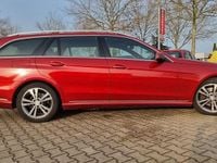 Gebraucht Mercedes E250 204 PS (150 kW) 2016 Dunkelrot (metallic) Kombi