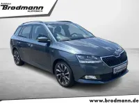 Gebraucht Skoda Fabia Drive 110 PS (80 kW) 2020 Grau Kleinwagen
