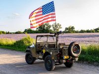 Gebraucht Jeep Willys 75 PS (55 kW) 1952 Grün Cabrio