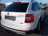Gebraucht Skoda Octavia 184 PS (135 kW) 2014 Weiß Kleinwagen