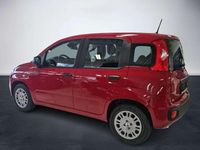 Neu Fiat Panda 69 PS (50 kW) 2025 Passione rot Kleinwagen