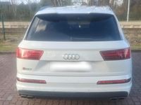 Usata Audi SQ7 2017 Bianco SUV