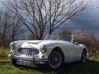Gebraucht Austin Healey 3000 MK I 124 PS (91 kW) 1960 Cabrio