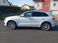 Usata Audi Q5 Premium Plus 2017 Bianco SUV