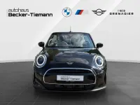 Gebraucht Mini Cooper Cabriolet 136 PS (100 kW) 2024 Schwarz Cabrio
