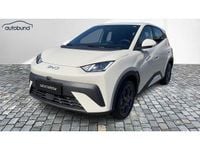 Neu BYD Dolphin Boost 64 kW (88 PS) 2025 Kleinwagen
