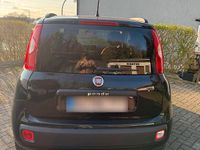 Gebraucht Fiat Panda 69 PS (50 kW) 2020 Schwarz Kleinwagen