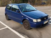 Usata VW Polo 60 CV (44 kW) 1997 Blu Utilitaria