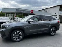 Neu Skoda Kodiaq Selection 150 PS (110 kW) 2026 Grau SUV