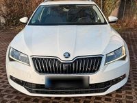 Gebraucht Skoda Superb 150 PS (110 kW) 2017 Weiß Kombi