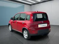 Occasion Fiat Panda 71 ch (52 kW) 2024 Rouge Citadine