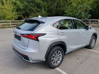 gebraucht Lexus NX300h NX 300hBusiness Line