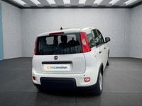Usata Fiat Panda 69 CV (50 kW) 2024 Bianco Utilitaria