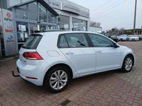 Gebraucht VW Golf VII Trendline 110 PS (80 kW) 2017 Grau Kleinwagen