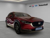 Gebraucht Mazda CX-30 Selection 122 PS (89 kW) 2019 Rot SUV