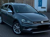 Gebraucht VW Golf Alltrack 184 PS (135 kW) 2019 Grau Kombi
