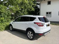 Gebraucht Ford Kuga Titanium 150 PS (110 kW) 2018 Weiß SUV