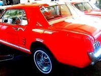 gebraucht Ford Mustang V8 1966 Zustand 2+ Deutsche Papiere H Kennzeichen