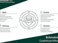 Gebraucht Skoda Octavia Selection 150 PS (110 kW) 2025 Grau Kombi