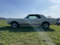 Gebraucht Ford Mustang 190 PS (139 kW) 1967