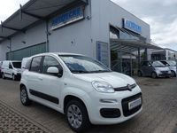 Gebraucht Fiat Panda Easy 80 PS (58 kW) 2018 Weiß Kleinwagen