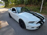Gebraucht Ford Mustang GT 424 PS (311 kW) 2014 Weiß