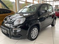Gebraucht Fiat Panda 69 PS (50 kW) 2024 Schwarz Kleinwagen