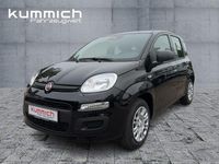 Neu Fiat Panda Icon 69 PS (50 kW) 2026 Schwarz Kleinwagen
