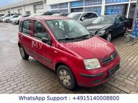 Gebraucht Fiat Panda Dynamic 60 PS (44 kW) 2009 Rot Kleinwagen
