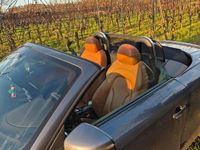 Gebraucht Audi TT Roadster 200 PS (147 kW) 2007 Grau Cabrio