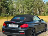 Gebraucht BMW 218 138 PS (101 kW) 2018 Schwarz Cabrio