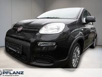 Neu Fiat Panda 69 PS (50 kW) 2025 Schwarz Kleinwagen