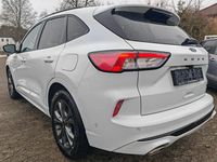 Gebraucht Ford Kuga ST-Line 190 PS (139 kW) 2023 Weiß SUV