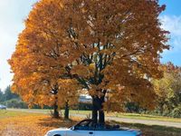 gebraucht Saab 9-3 Cabriolet I