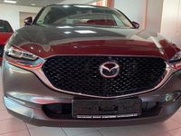 Gebraucht Mazda CX-30 Selection 179 PS (131 kW) 2021 Grau SUV
