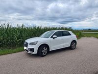 Gebraucht Audi Q2 Sport 116 PS (85 kW) 2017 Weiß SUV