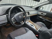 Gebraucht Jaguar XF 200 PS (147 kW) 2013 Weiß Limousine