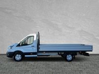 Neu Ford Transit Trend 131 PS (96 kW) 2025 Frozen white