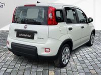 Gebraucht Fiat Panda 69 PS (50 kW) 2024 Weiss / gelatoweiss Kleinwagen