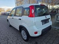 Gebraucht Fiat Panda 69 PS (50 kW) 2023 Bianco gelato Kleinwagen