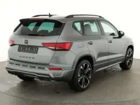 Usata Cupra Ateca Basis 190 CV (139 kW) 2026 Grigio SUV