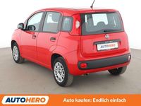 Gebraucht Fiat Panda Easy 69 PS (50 kW) 2020 Rot Kleinwagen