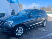 Gebraucht Mercedes ML350 258 PS (189 kW) 2014 Grau SUV