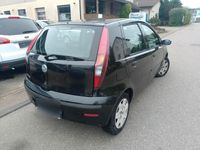 gebraucht Fiat Punto Benzin