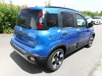 Neu Fiat Panda Cross Cross 65 PS (47 kW) 2025 Blau Kleinwagen