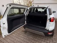 Gebraucht Ford Ecosport Titanium 125 PS (91 kW) 2019 Weiß SUV