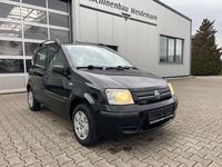 Gebraucht Fiat Panda Dynamic 60 PS (44 kW) 2007 Schwarz Kleinwagen