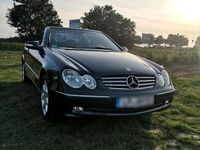gebraucht Mercedes CLK200 Kompressor Elegance Cabrio